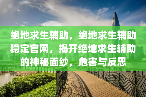 绝地求生辅助，绝地求生辅助稳定官网，揭开绝地求生辅助的神秘面纱，危害与反思