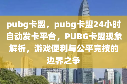 pubg卡盟，pubg卡盟24小时自动发卡平台，PUBG卡盟现象解析，游戏便利与公平竞技的边界之争