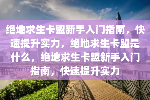 绝地求生卡盟新手入门指南，快速提升实力，绝地求生卡盟是什么，绝地求生卡盟新手入门指南，快速提升实力