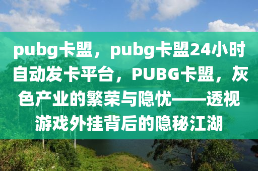 pubg卡盟，pubg卡盟24小时自动发卡平台，PUBG卡盟，灰色产业的繁荣与隐忧——透视游戏外挂背后的隐秘江湖