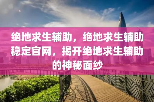 绝地求生辅助，绝地求生辅助稳定官网，揭开绝地求生辅助的神秘面纱