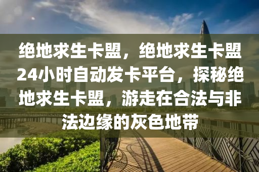 绝地求生卡盟，绝地求生卡盟24小时自动发卡平台，探秘绝地求生卡盟，游走在合法与非法边缘的灰色地带