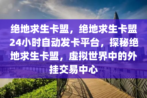 绝地求生卡盟，绝地求生卡盟24小时自动发卡平台，探秘绝地求生卡盟，虚拟世界中的外挂交易中心