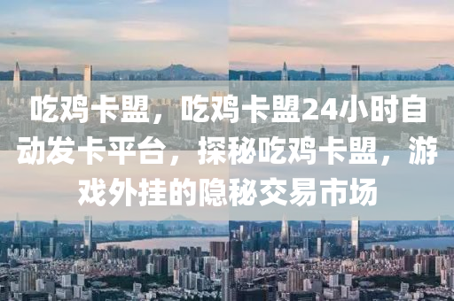 吃鸡卡盟，吃鸡卡盟24小时自动发卡平台，探秘吃鸡卡盟，游戏外挂的隐秘交易市场