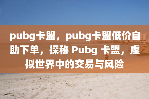 pubg卡盟，pubg卡盟低价自助下单，探秘 Pubg 卡盟，虚拟世界中的交易与风险