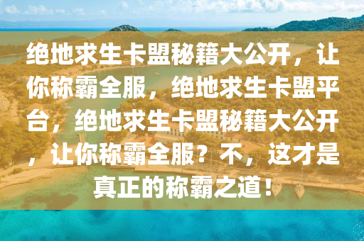 绝地求生卡盟秘籍大公开，让你称霸全服，绝地求生卡盟平台，绝地求生卡盟秘籍大公开，让你称霸全服？不，这才是真正的称霸之道！