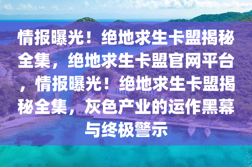 情报曝光！绝地求生卡盟揭秘全集，绝地求生卡盟官网平台，情报曝光！绝地求生卡盟揭秘全集，灰色产业的运作黑幕与终极警示