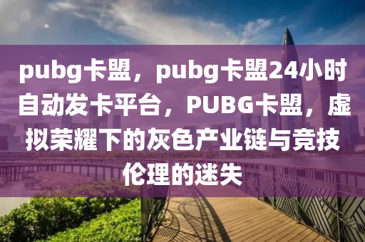 pubg卡盟，pubg卡盟24小时自动发卡平台，PUBG卡盟，虚拟荣耀下的灰色产业链与竞技伦理的迷失