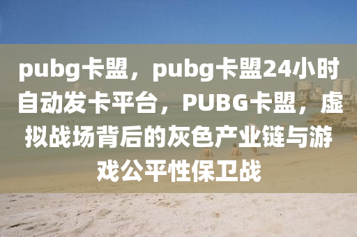 pubg卡盟，pubg卡盟24小时自动发卡平台，PUBG卡盟，虚拟战场背后的灰色产业链与游戏公平性保卫战