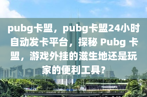 pubg卡盟，pubg卡盟24小时自动发卡平台，探秘 Pubg 卡盟，游戏外挂的滋生地还是玩家的便利工具？