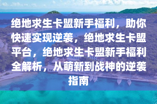 绝地求生卡盟新手福利，助你快速实现逆袭，绝地求生卡盟平台，绝地求生卡盟新手福利全解析，从萌新到战神的逆袭指南