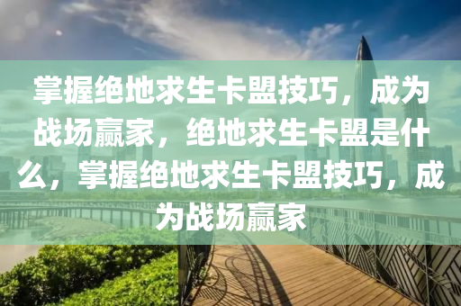 掌握绝地求生卡盟技巧，成为战场赢家，绝地求生卡盟是什么，掌握绝地求生卡盟技巧，成为战场赢家