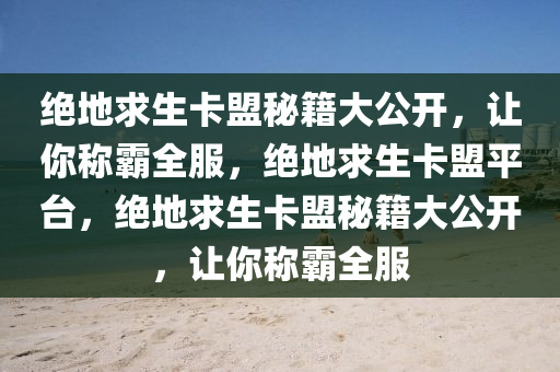 绝地求生卡盟秘籍大公开，让你称霸全服，绝地求生卡盟平台，绝地求生卡盟秘籍大公开，让你称霸全服