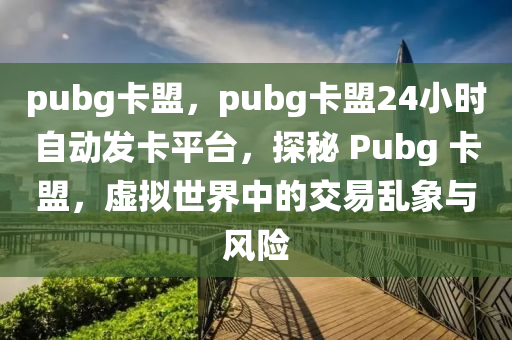 pubg卡盟，pubg卡盟24小时自动发卡平台，探秘 Pubg 卡盟，虚拟世界中的交易乱象与风险