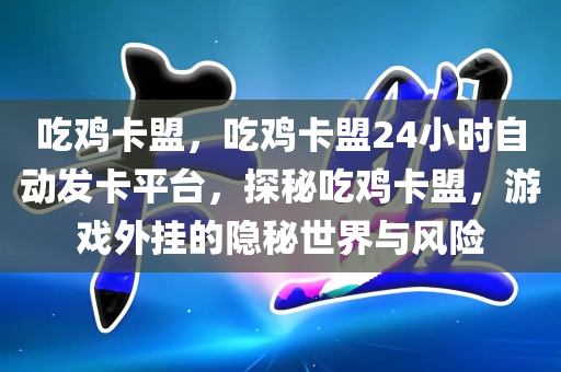 吃鸡卡盟，吃鸡卡盟24小时自动发卡平台，探秘吃鸡卡盟，游戏外挂的隐秘世界与风险