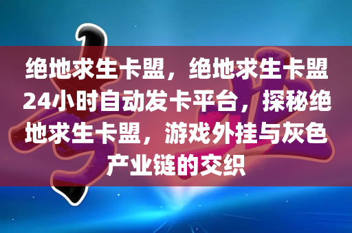 绝地求生卡盟，绝地求生卡盟24小时自动发卡平台，探秘绝地求生卡盟，游戏外挂与灰色产业链的交织