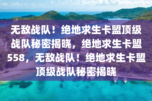 无敌战队！绝地求生卡盟顶级战队秘密揭晓，绝地求生卡盟558，无敌战队！绝地求生卡盟顶级战队秘密揭晓