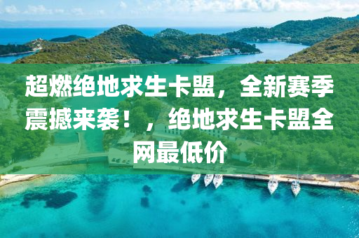超燃绝地求生卡盟，全新赛季震撼来袭！，绝地求生卡盟全网最低价