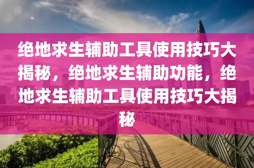 绝地求生辅助工具使用技巧大揭秘，绝地求生辅助功能，绝地求生辅助工具使用技巧大揭秘