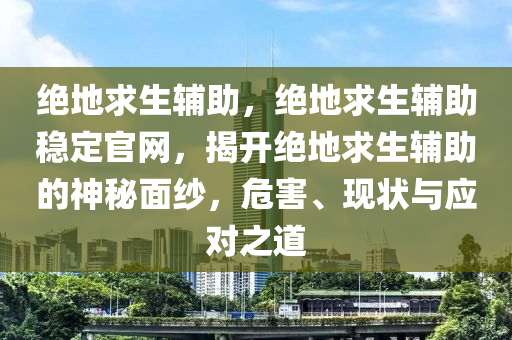 绝地求生辅助，绝地求生辅助稳定官网，揭开绝地求生辅助的神秘面纱，危害、现状与应对之道