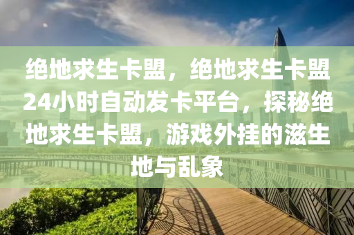 绝地求生卡盟，绝地求生卡盟24小时自动发卡平台，探秘绝地求生卡盟，游戏外挂的滋生地与乱象