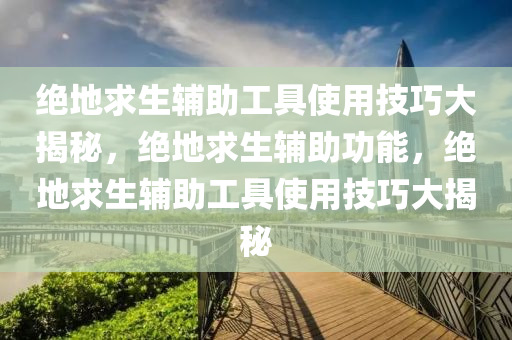 绝地求生辅助工具使用技巧大揭秘，绝地求生辅助功能，绝地求生辅助工具使用技巧大揭秘