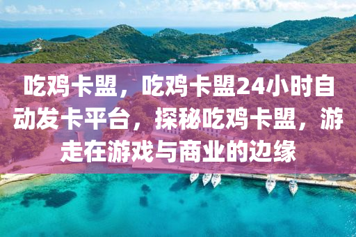 吃鸡卡盟，吃鸡卡盟24小时自动发卡平台，探秘吃鸡卡盟，游走在游戏与商业的边缘