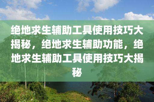 绝地求生辅助工具使用技巧大揭秘，绝地求生辅助功能，绝地求生辅助工具使用技巧大揭秘