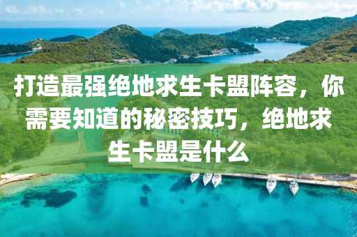 打造最强绝地求生卡盟阵容，你需要知道的秘密技巧，绝地求生卡盟是什么