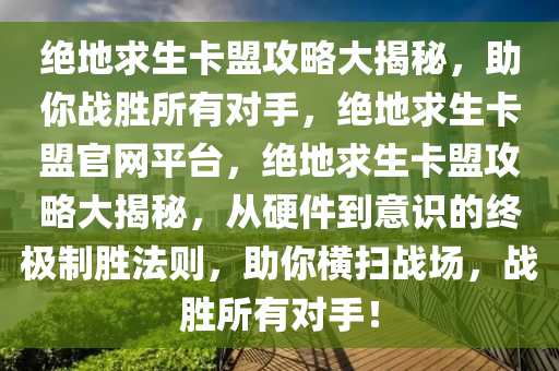 绝地求生卡盟攻略大揭秘，助你战胜所有对手，绝地求生卡盟官网平台，绝地求生卡盟攻略大揭秘，从硬件到意识的终极制胜法则，助你横扫战场，战胜所有对手！