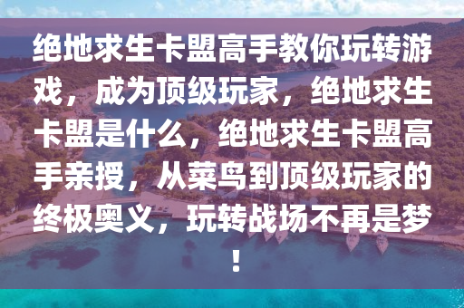 绝地求生卡盟高手教你玩转游戏，成为顶级玩家，绝地求生卡盟是什么，绝地求生卡盟高手亲授，从菜鸟到顶级玩家的终极奥义，玩转战场不再是梦！
