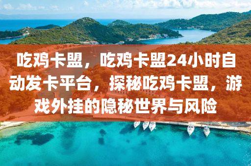 吃鸡卡盟，吃鸡卡盟24小时自动发卡平台，探秘吃鸡卡盟，游戏外挂的隐秘世界与风险