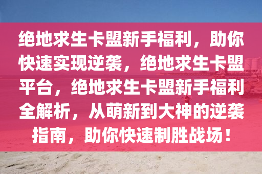 绝地求生卡盟新手福利，助你快速实现逆袭，绝地求生卡盟平台，绝地求生卡盟新手福利全解析，从萌新到大神的逆袭指南，助你快速制胜战场！