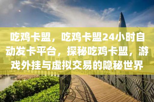 吃鸡卡盟，吃鸡卡盟24小时自动发卡平台，探秘吃鸡卡盟，游戏外挂与虚拟交易的隐秘世界