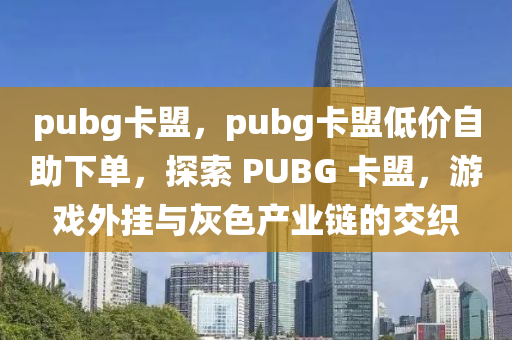 pubg卡盟，pubg卡盟低价自助下单，探索 PUBG 卡盟，游戏外挂与灰色产业链的交织