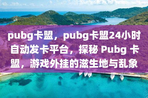 pubg卡盟，pubg卡盟24小时自动发卡平台，探秘 Pubg 卡盟，游戏外挂的滋生地与乱象