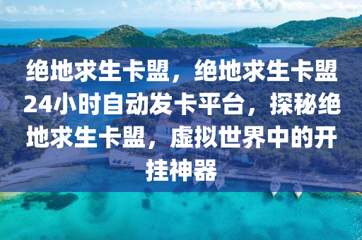 绝地求生卡盟，绝地求生卡盟24小时自动发卡平台，探秘绝地求生卡盟，虚拟世界中的开挂神器