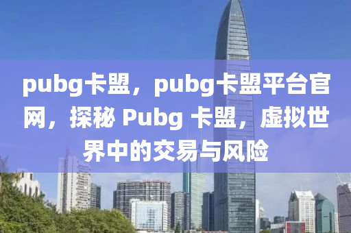 pubg卡盟，pubg卡盟平台官网，探秘 Pubg 卡盟，虚拟世界中的交易与风险