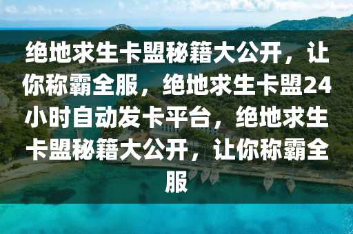 绝地求生卡盟秘籍大公开，让你称霸全服，绝地求生卡盟24小时自动发卡平台，绝地求生卡盟秘籍大公开，让你称霸全服
