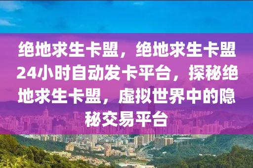 绝地求生卡盟，绝地求生卡盟24小时自动发卡平台，探秘绝地求生卡盟，虚拟世界中的隐秘交易平台