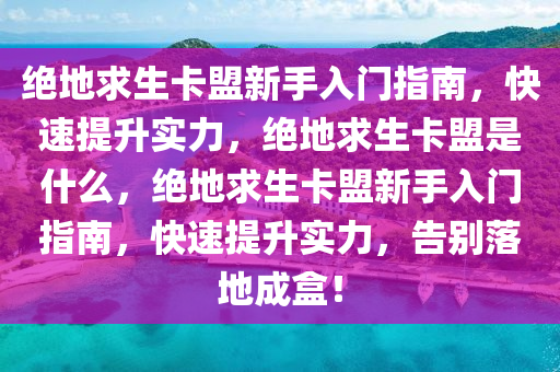 绝地求生卡盟新手入门指南，快速提升实力，绝地求生卡盟是什么，绝地求生卡盟新手入门指南，快速提升实力，告别落地成盒！