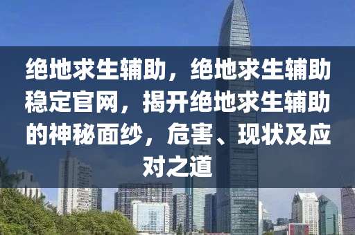 绝地求生辅助，绝地求生辅助稳定官网，揭开绝地求生辅助的神秘面纱，危害、现状及应对之道