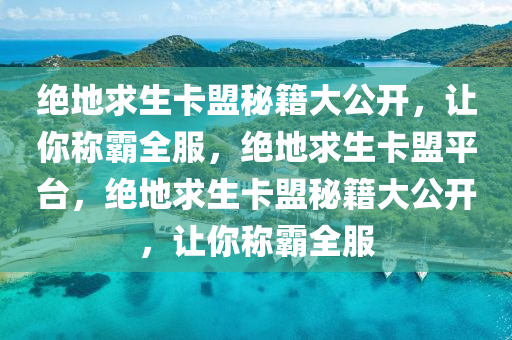 绝地求生卡盟秘籍大公开，让你称霸全服，绝地求生卡盟平台，绝地求生卡盟秘籍大公开，让你称霸全服