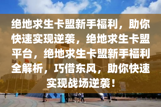 绝地求生卡盟新手福利，助你快速实现逆袭，绝地求生卡盟平台，绝地求生卡盟新手福利全解析，巧借东风，助你快速实现战场逆袭！