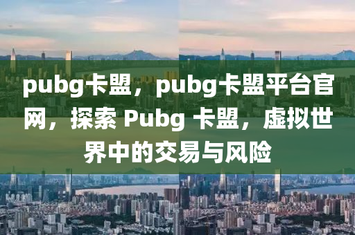 pubg卡盟，pubg卡盟平台官网，探索 Pubg 卡盟，虚拟世界中的交易与风险
