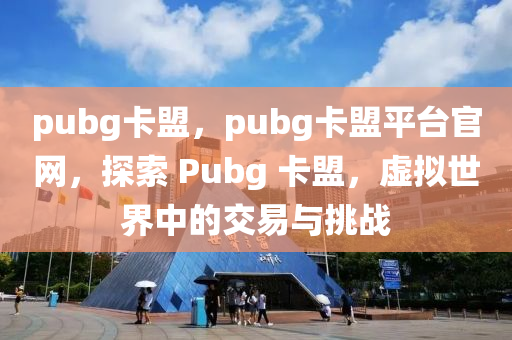 pubg卡盟，pubg卡盟平台官网，探索 Pubg 卡盟，虚拟世界中的交易与挑战