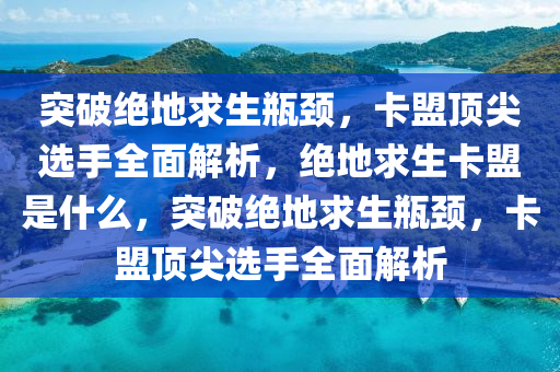 突破绝地求生瓶颈，卡盟顶尖选手全面解析，绝地求生卡盟是什么，突破绝地求生瓶颈，卡盟顶尖选手全面解析