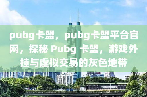 pubg卡盟，pubg卡盟平台官网，探秘 Pubg 卡盟，游戏外挂与虚拟交易的灰色地带