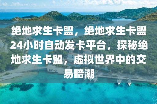 绝地求生卡盟，绝地求生卡盟24小时自动发卡平台，探秘绝地求生卡盟，虚拟世界中的交易暗潮