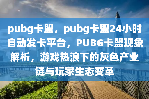 pubg卡盟，pubg卡盟24小时自动发卡平台，PUBG卡盟现象解析，游戏热浪下的灰色产业链与玩家生态变革